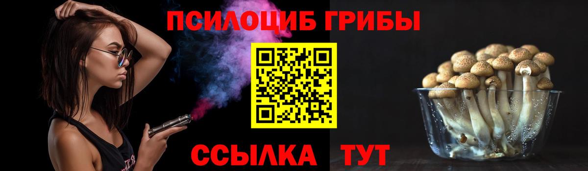 Галлюциногенные грибы мицелий  Вход с VPN  Татарск  Галлюциногенные грибы прущие грибы 